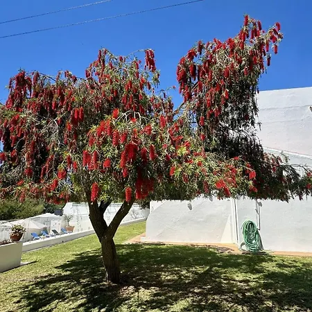 Felicidade - Private Heated Pool - 8 Guests - וילה אלבופיירה
